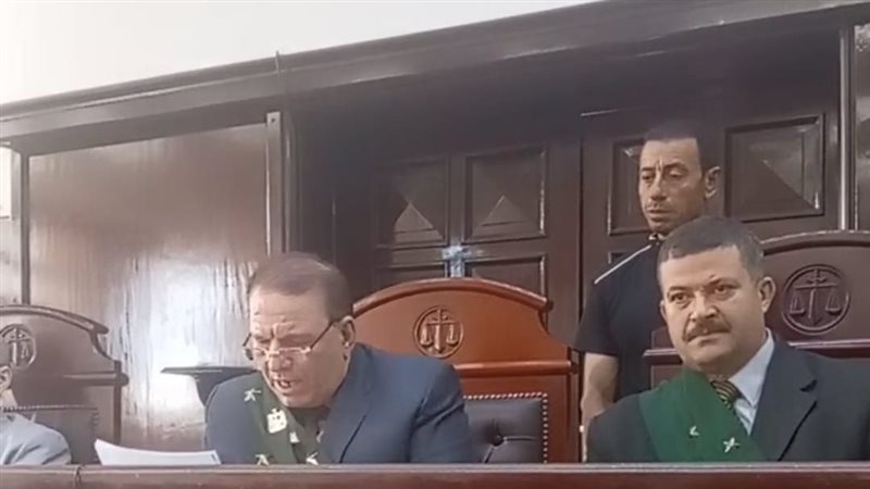 مستأنف جنايات المنصورة،