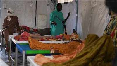  تفشي حمى الضنك في السودان يفاقم الأزمة الصحية وسط الحرب ونقص الإمدادات الطبية.. النزوح يساهم في انتشار الفيروس.. وتحذيرات من كارثة إنسانية