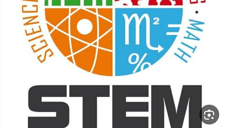 مدارس استيم، فيتو