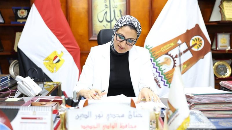 محافظ الوادى الجديد،