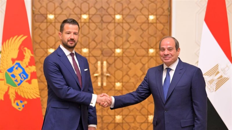الرئيس السيسي ورئيس