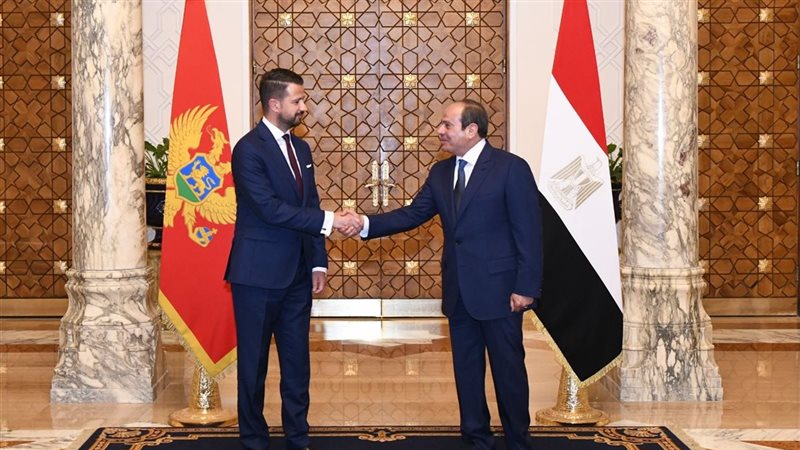 الرئيس السيسي ورئيس