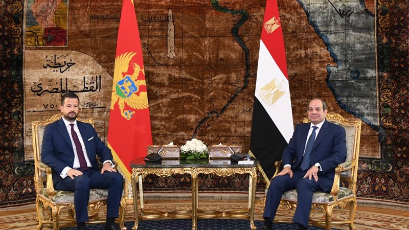 الرئيس السيسي ورئيس
