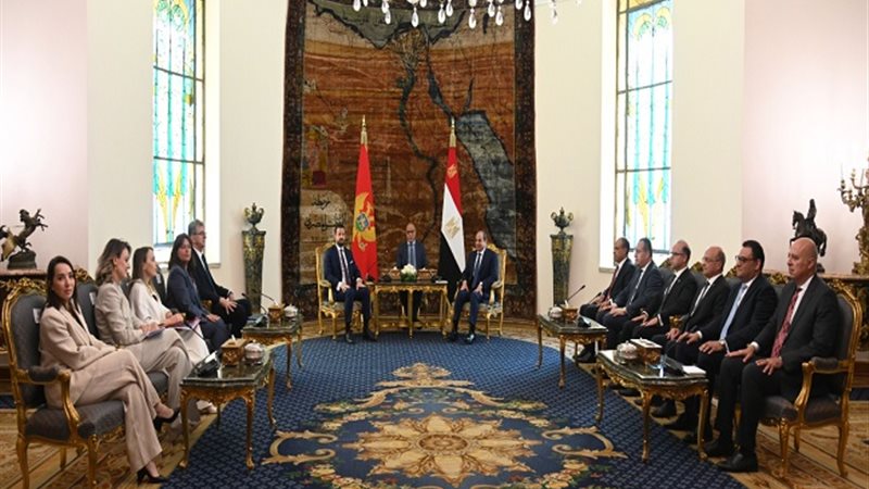 جانب من مباحثات السيسي