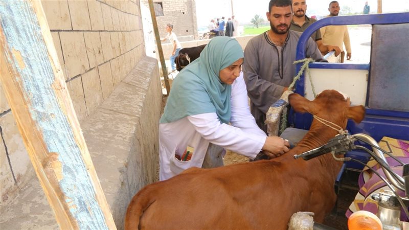 قافلة بيطرية، فيتو