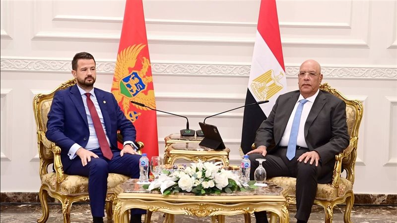 المستشار هشام بدوي