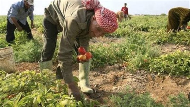 الأراضي الزراعية