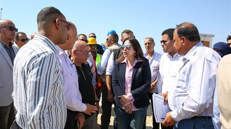 راندة المنشاوي