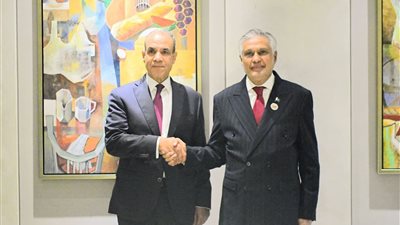 وزير الخارجية يبحث مع نظيره الباكستاني أهمية تعزيز التعاون الاقتصادي بين البلدين
