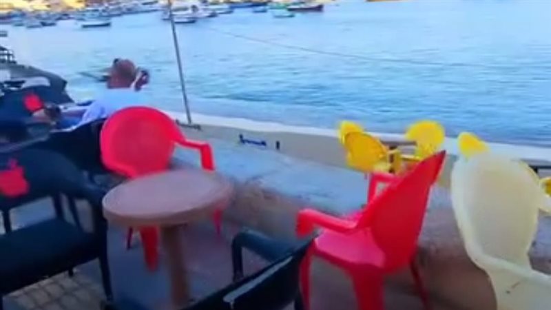 الباعه الجائلون احتلوا