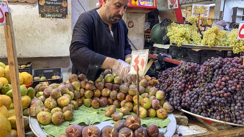 التين فى الأسواق