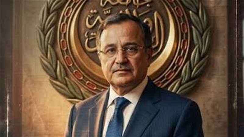 نبيل فهمى، فيتو 