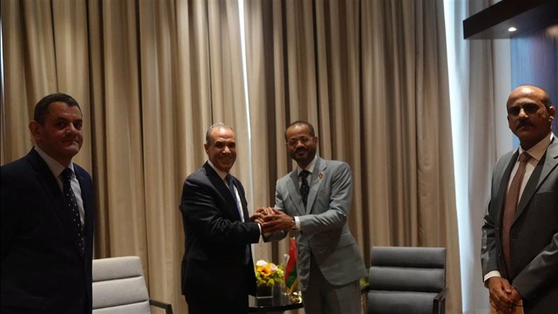 وزير الخارجية ونظيره