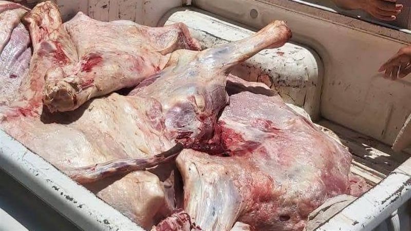 ضبط لحوم غير صالحة