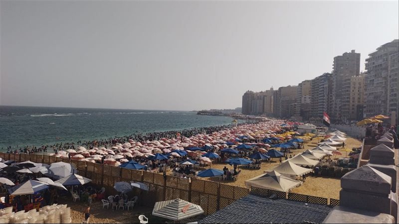 الإسكندرية