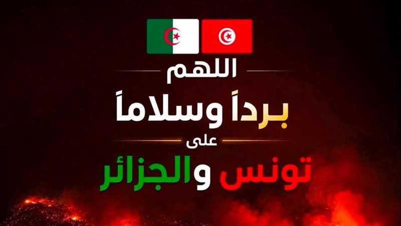 حرائق تونس والجزائر،