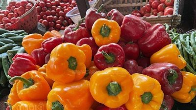 أسعار الخضروات اليوم الجمعة 14-1-2022 في أسواق الجملة