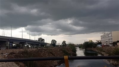 أمطار متقطعة وغيوم تضرب أرجاء الدقهلية |فيديو وصور 