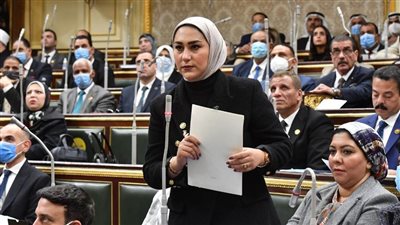 نائبة أجا تطالب الأوقاف بالإسراع في حل مشكلات قرى الدقهلية