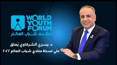الشرقاوي: ختام منتدى شباب العالم يؤكد توجهنا لإفريقيا