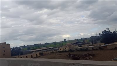 حالة الطقس غدا السبت 15-1-2022 في الدقهلية