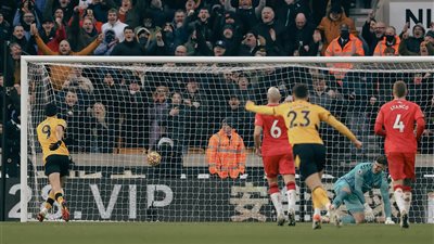 فوز وولفرهامبتون ونورويتش وخسارة إيفرتون في الدوري الإنجليزي