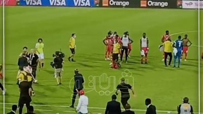 مشجع يقتحم الملعب من أجل سيلفي مع محمد صلاح | فيديو