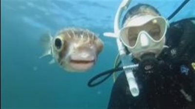 سمكة تبتسم.. فتاة تلتقط سيلفي مع أخطر مخلوقات العالم | فيديو