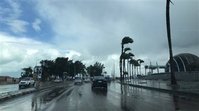 الأرصاد تحذر من أسبوع صعب: رياح وأمطار وشبورة مائية في آخر أيام يناير 