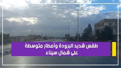 طقس شديد البرودة وأمطار متوسطة على شمال سيناء | فيديو