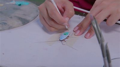 فلبينية تبدع في الرسم على ظهر صراصير ميتة |صور