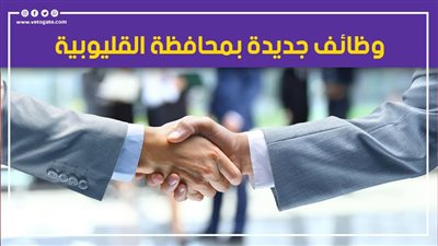 وظائف جديدة بمحافظة القليوبية.. تعرف عليها