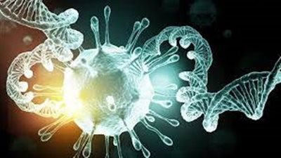 يتضمن عقوبات للمخالفين.. نائبة تطالب بتطبيق قانون مواجهة الأوبئة للحد من أوميكرون