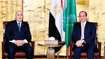 كيف تزايدت قوة وترابط العلاقات المصرية الجزائرية في عهد السيسي؟