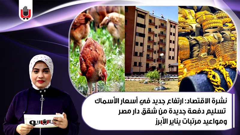 نشرة الاقتصاد