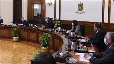 لزيادة الكمية وتوفير المياه.. إعلان ملامح المشروع القومي لزراعة قصب السكر بنظام الشتلات