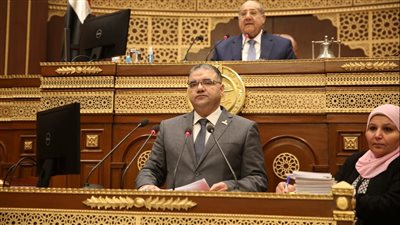 عضو بالشيوخ: قرارات الرئيس الاقتصادية تحقق العدالة الاجتماعية وحياة كريمة للمصريين
