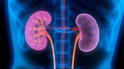 أعراض قصور وظائف الكلى.. اعرفها