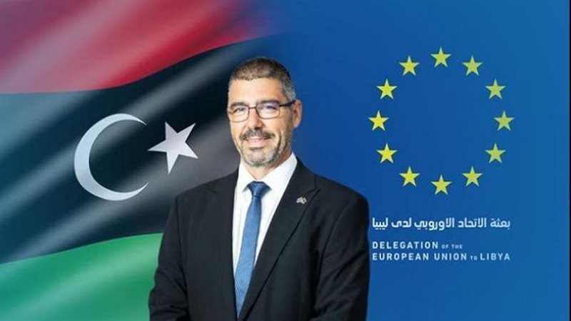 رئيس بعثة الاتحاد