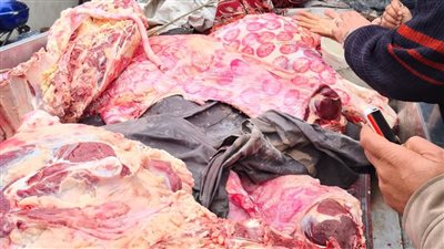 حملات مفاجئة على محال وأسواق الإسكندرية