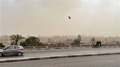 درجات الحرارة وحالة الطقس بأسيوط غدا الخميس 20-1-2022