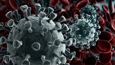 دراسة تكشف أسباب تباين أعداد المصابين بكورونا بين الرجال والنساء