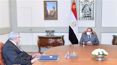 شاهد| نشاط الرئيس السيسي اليوم الأربعاء.. تكليفات قوية لمكافحة كورونا الأبرز