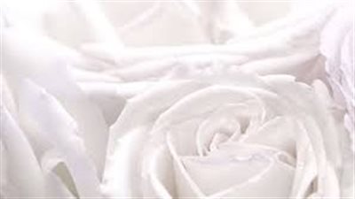 تفسير رؤية اللون الأبيض في المنام وعلاقته بصحة الجسد والعقل 