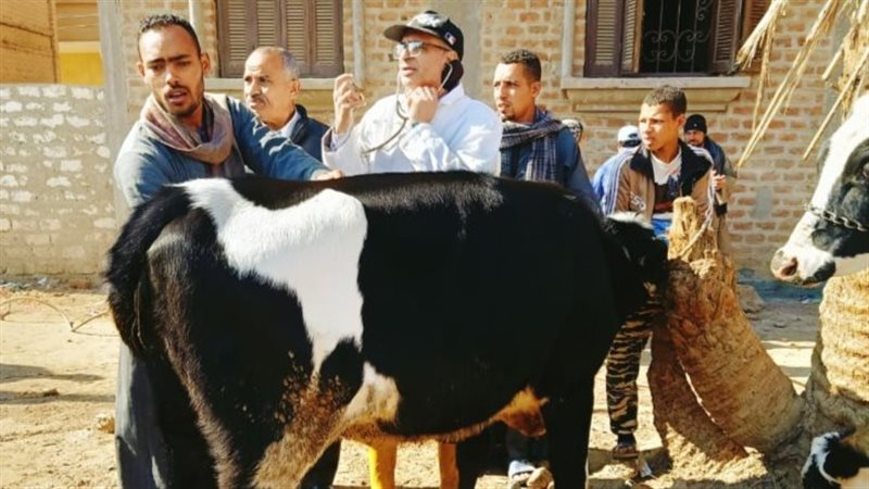 قافلة بيطرية بأسيوط