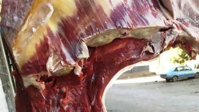 ضبط لحوم وأسماك مجهولة فاسدة خلال حملات تموينية بالشرقية 