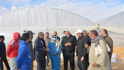 وفد الهيئة العربية للاستثمار يتفقد عددا من المشروعات الزراعية بالفرافرة