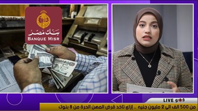 يصل لـ2 مليون جنيه.. إزاي تاخد قرض المهن الحرة من 8 بنوك | فيديو