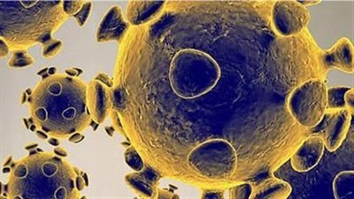 مدير الفرع الأوروبي بالصحة العالمية يتوقع نهاية محتملة لكورونا