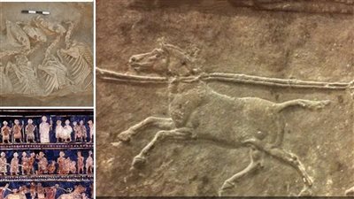 طلعت مش خيول.. اكتشاف مثير عن 